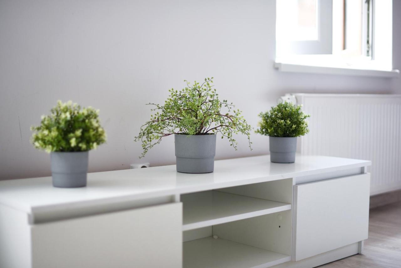 Perfect Stay - "Apartamenty Horzyca" Stary Toruń Exteriör bild